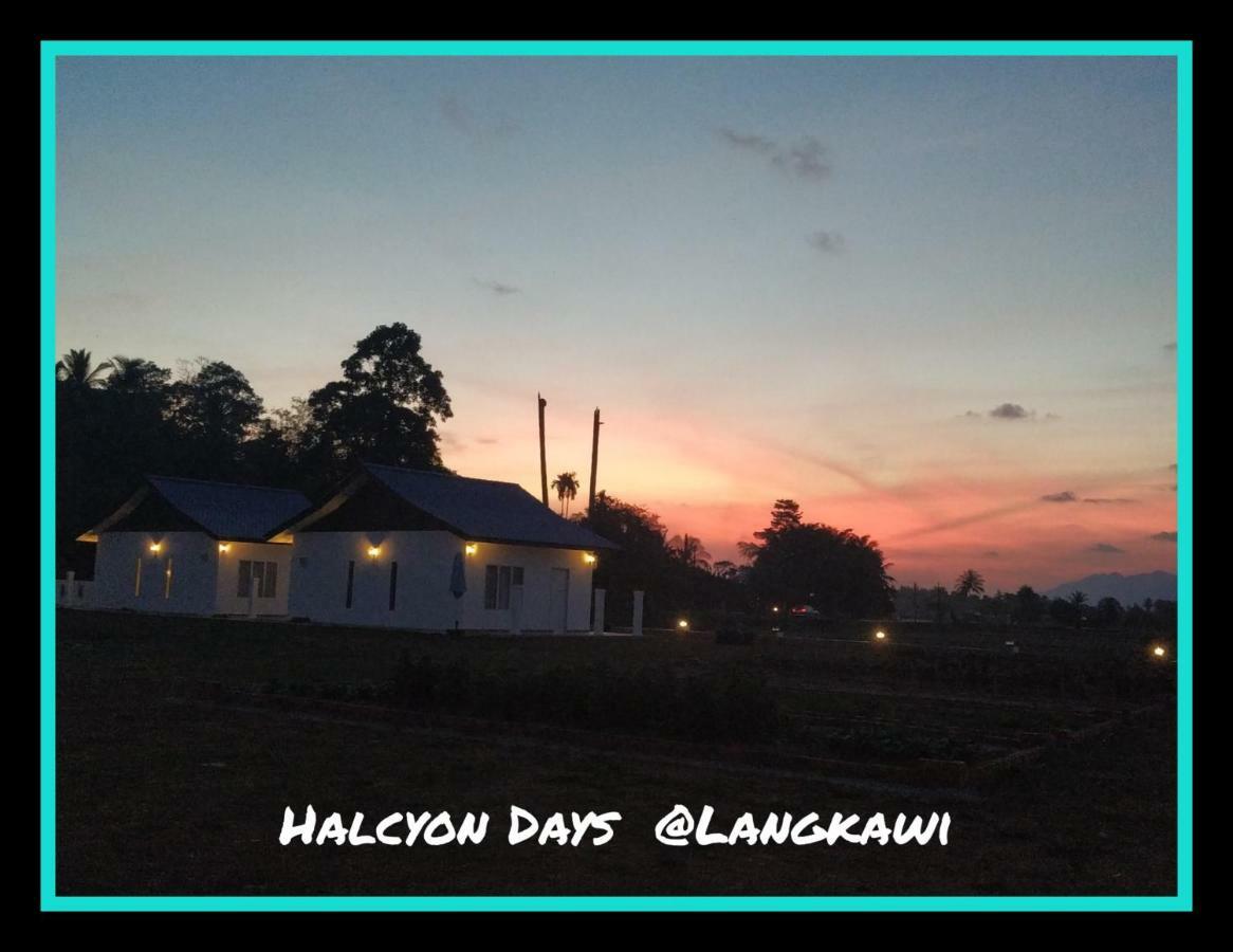 珍南海滩Halcyon Days @ Langkawi公寓 外观 照片